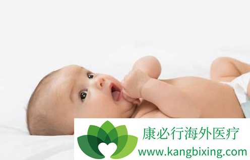 案例